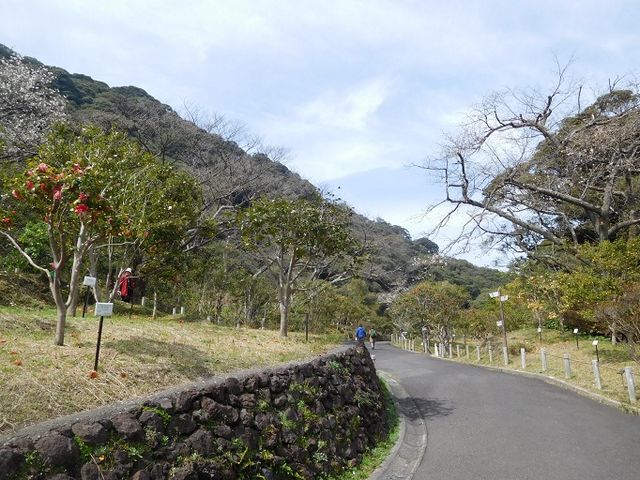 f:id:denshaouji:20190326075455j:plain