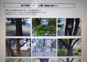 f:id:denshaouji:20200516165515j:plain