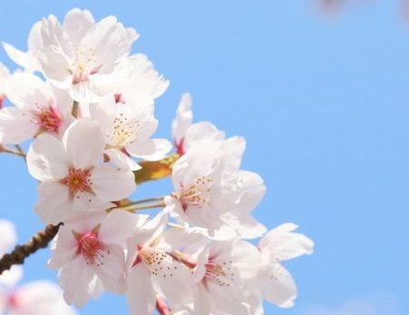 f:id:denshaouji:20210311100809j:plain