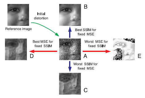 個別「[SSIM]」の写真、画像 - denshikA's fotolife
