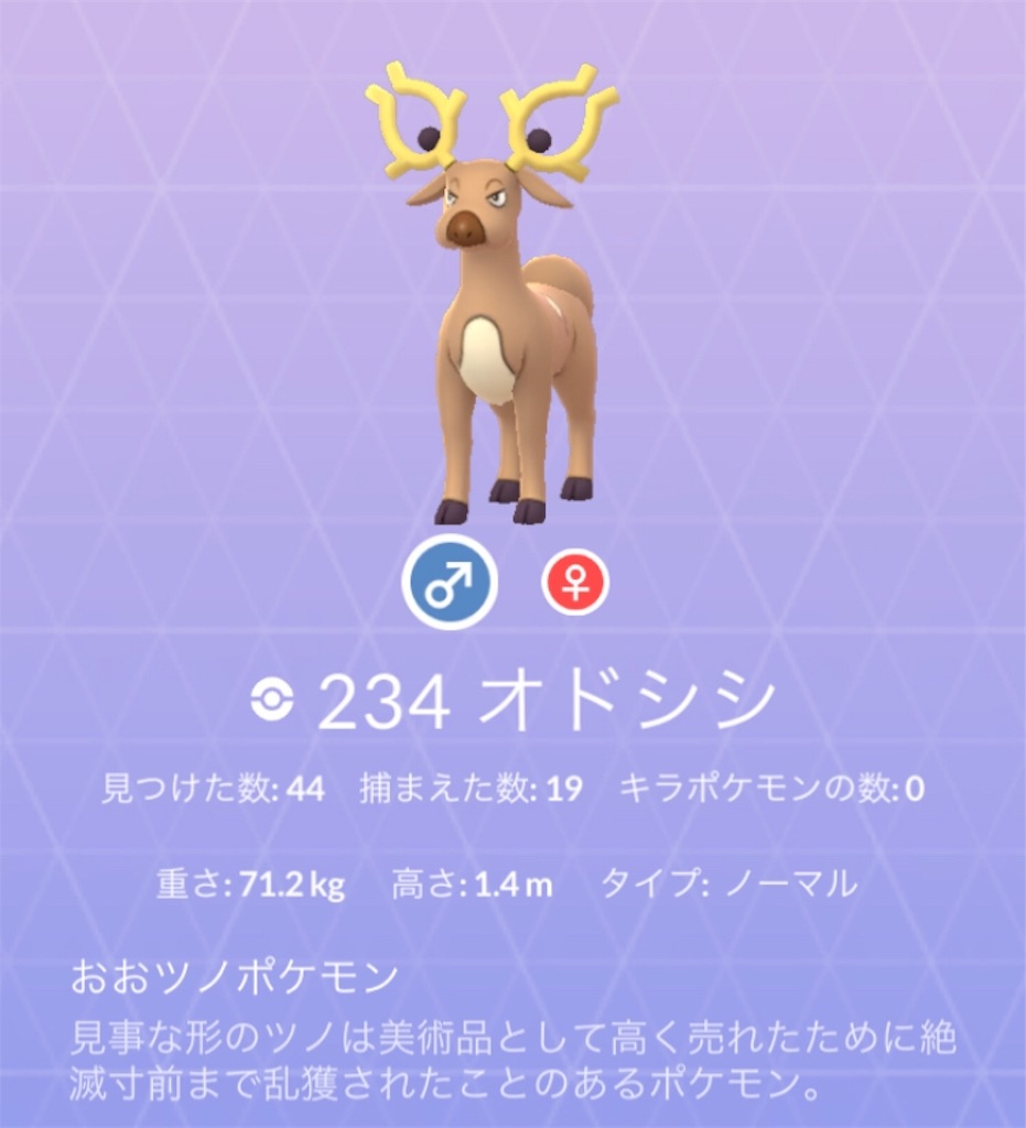 野生動物でgo ストロングでgo