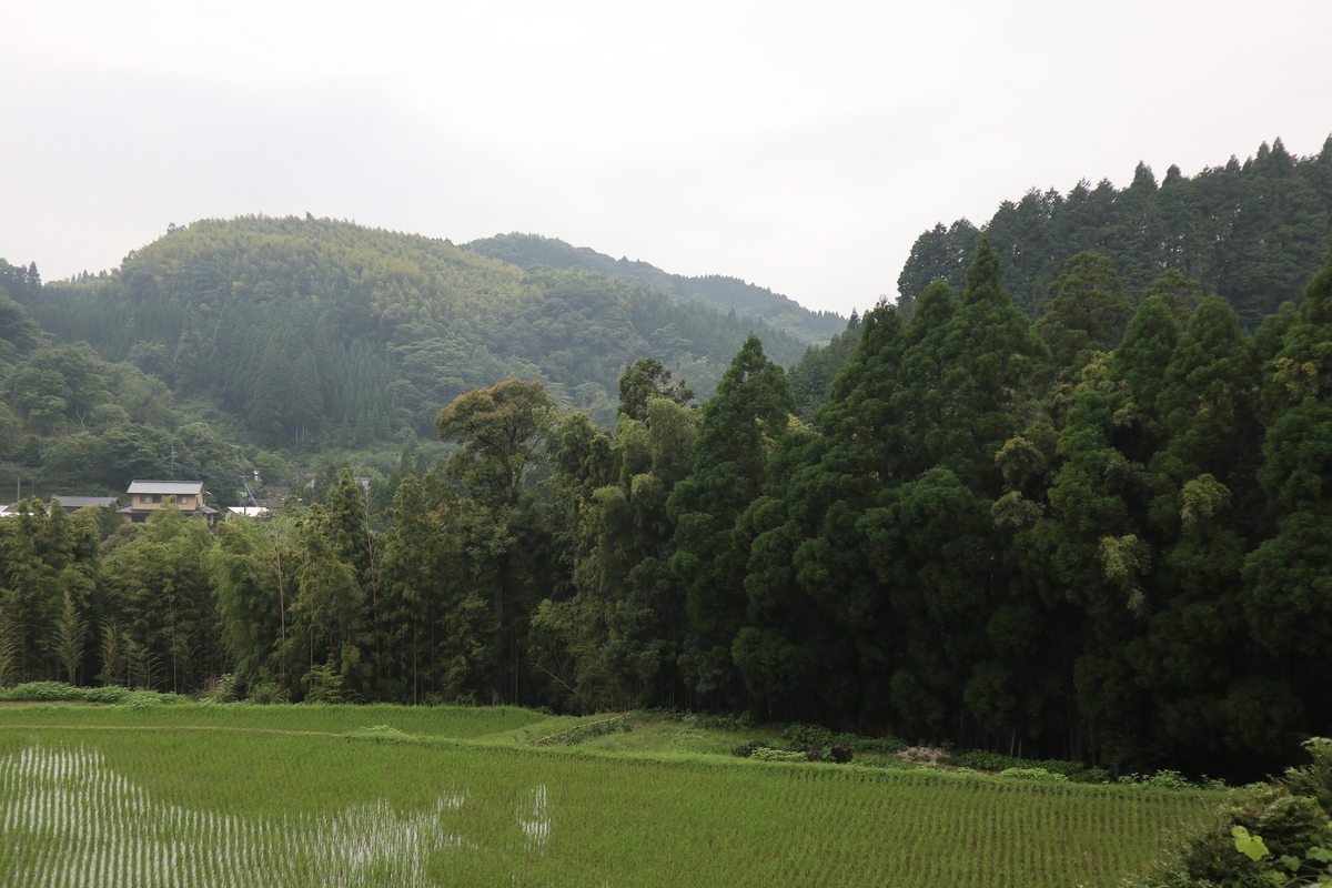 f:id:dent1844:20190711224348j:plain f:id:dent1844:20190711224348j:plain