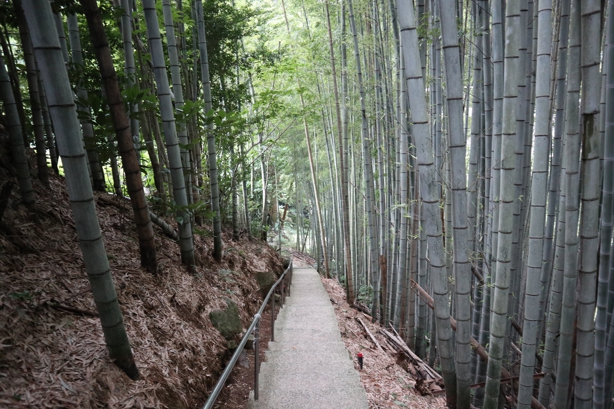 f:id:dent1844:20190711224739j:plain f:id:dent1844:20190711224739j:plain