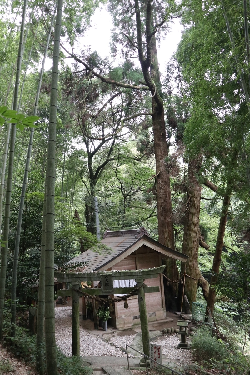 f:id:dent1844:20190711225317j:plain f:id:dent1844:20190711225317j:plain