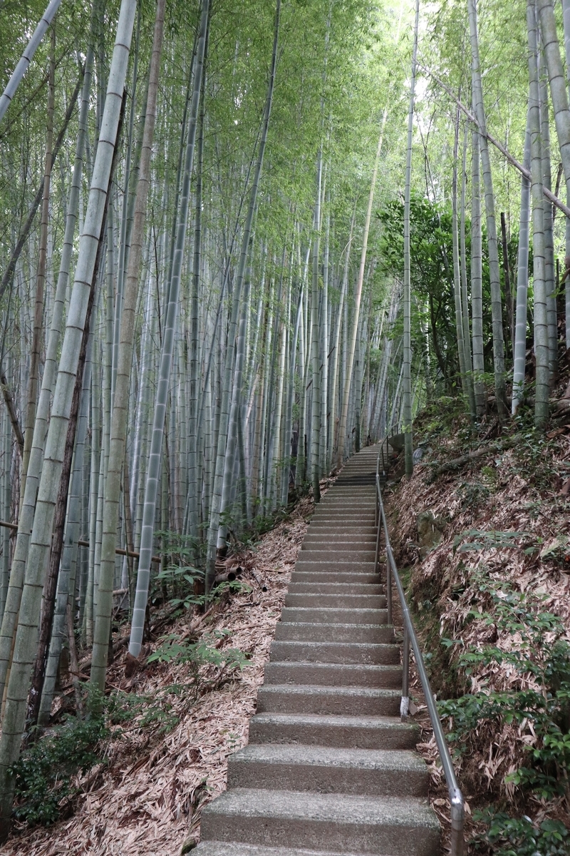 f:id:dent1844:20190712221136j:plain f:id:dent1844:20190712221136j:plain