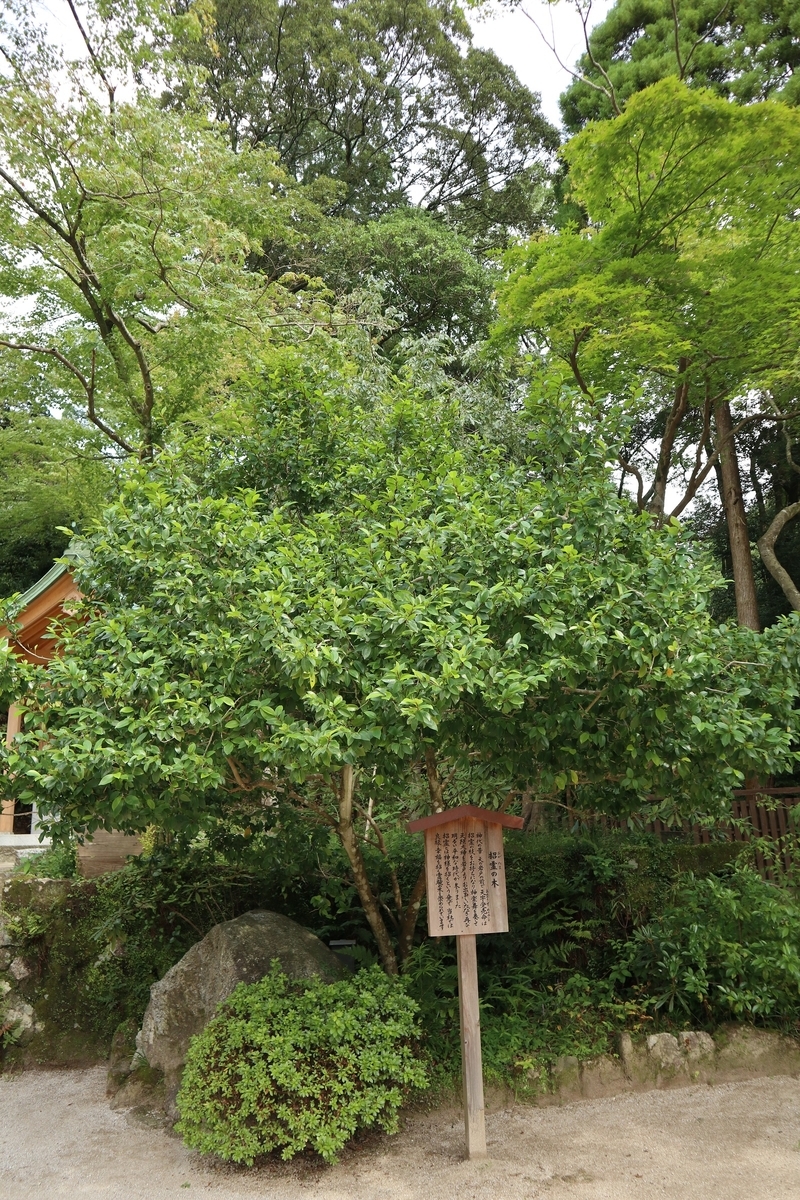 f:id:dent1844:20190909202733j:plain f:id:dent1844:20190909202733j:plain