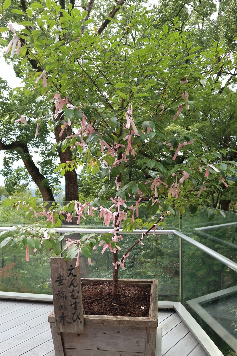 f:id:dent1844:20190909223815j:plain f:id:dent1844:20190909223815j:plain