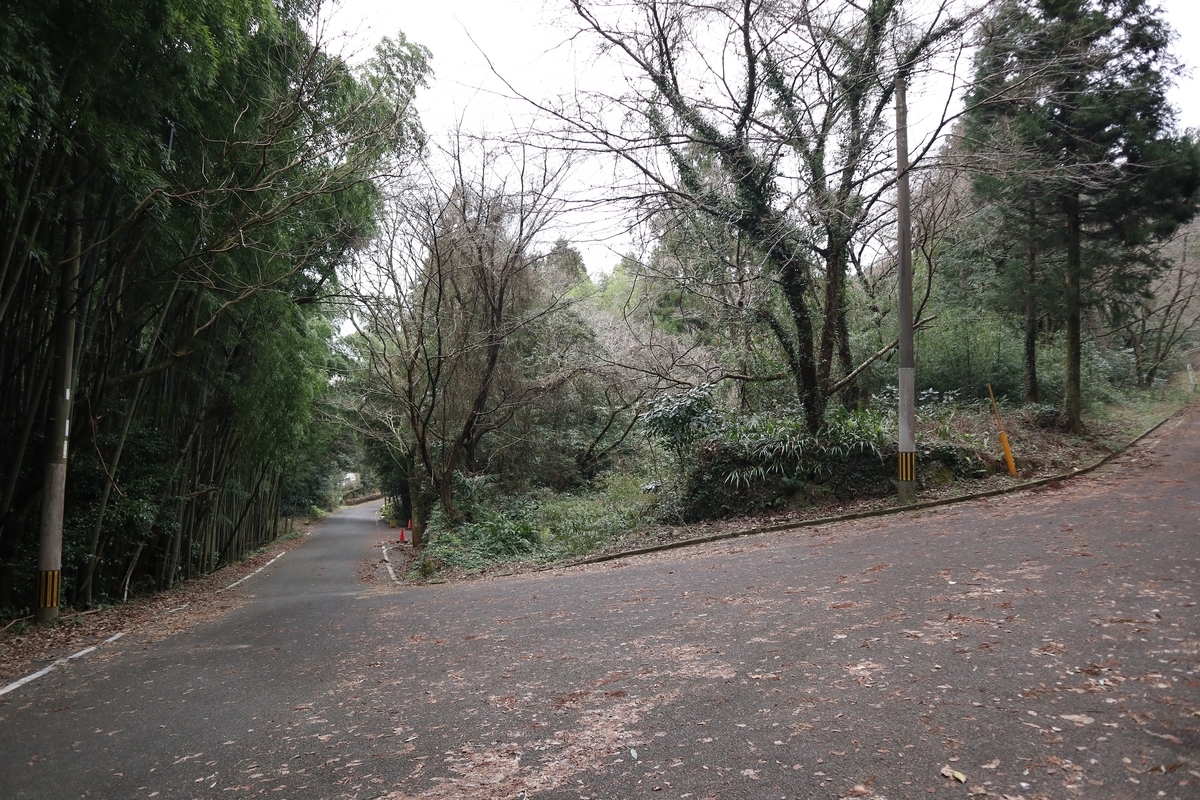 f:id:dent1844:20200422211807j:plain f:id:dent1844:20200422211807j:plain