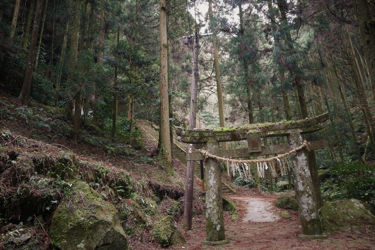 f:id:dent1844:20200422213946j:plain f:id:dent1844:20200422213946j:plain