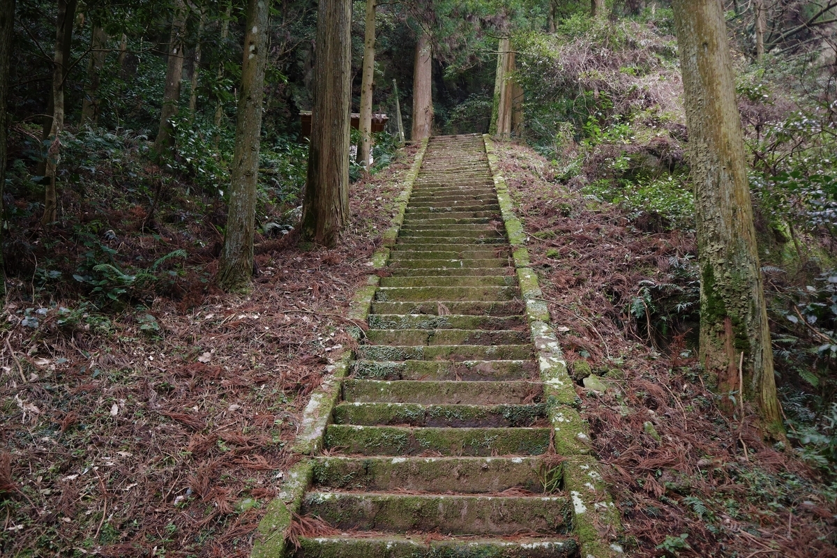 f:id:dent1844:20200422215101j:plain f:id:dent1844:20200422215101j:plain