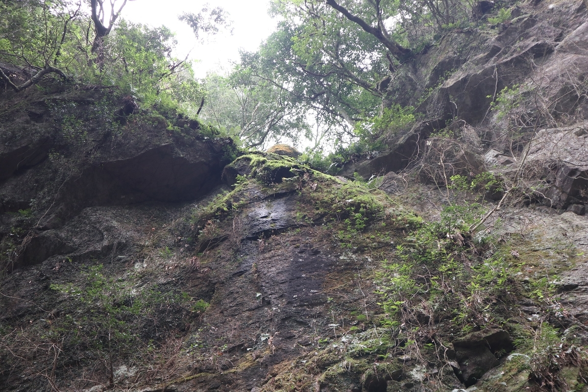 f:id:dent1844:20200423134632j:plain f:id:dent1844:20200423134632j:plain