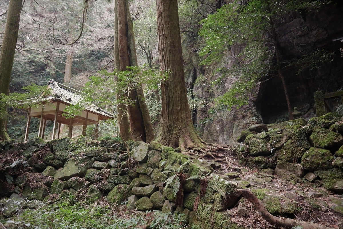 f:id:dent1844:20200423144018j:plain f:id:dent1844:20200423144018j:plain