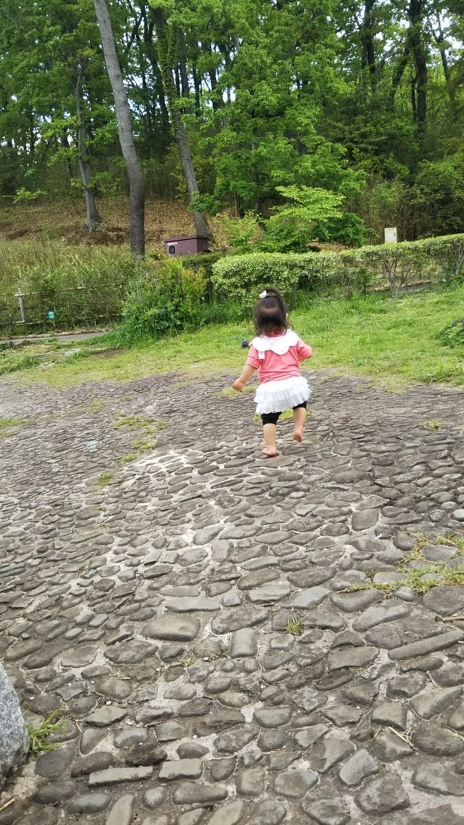 f:id:denta220:20190425213723j:plain