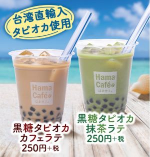 f:id:dentmara:20190529020054j:plain