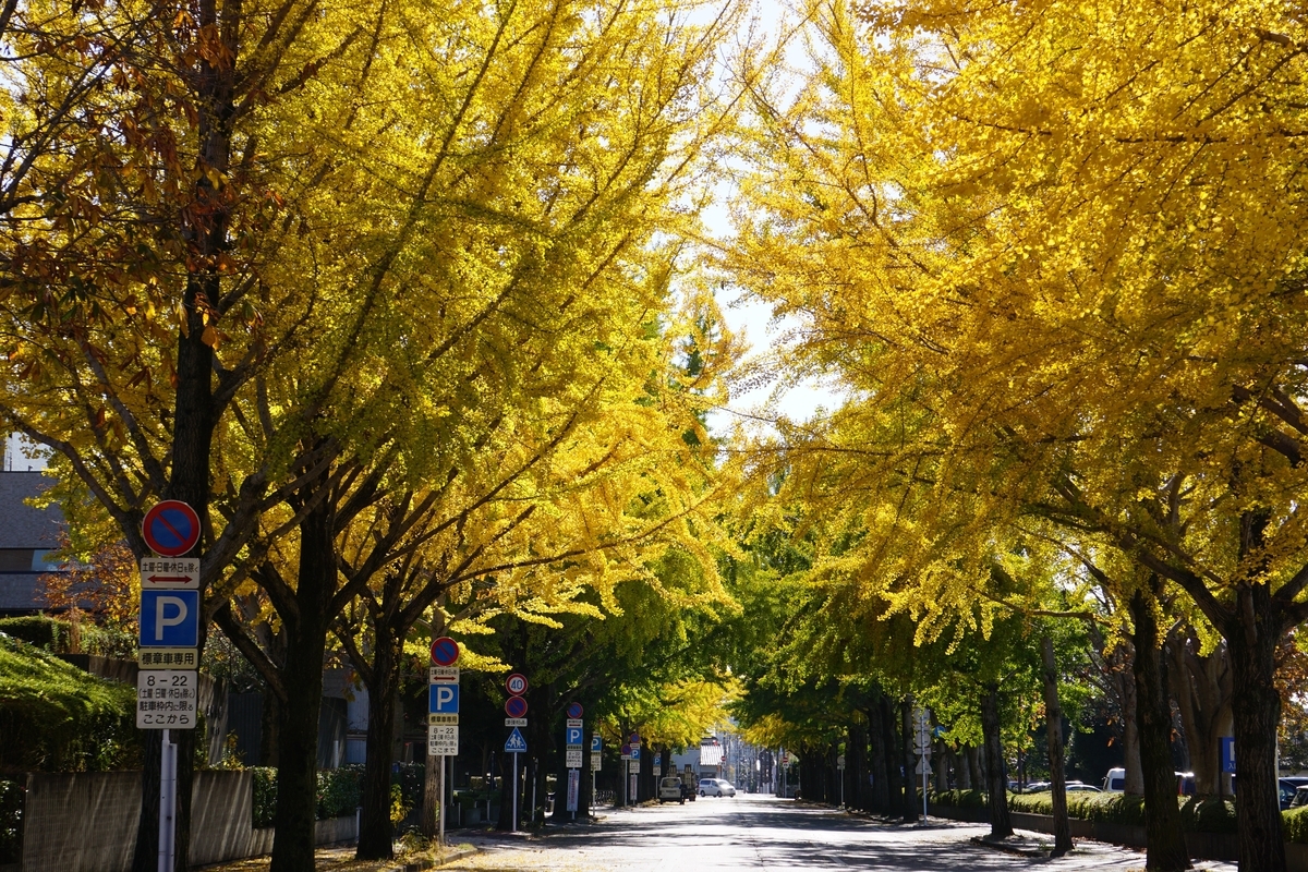 f:id:denzo689:20191116081345j:plain f:id:denzo689:20191116081345j:plain
