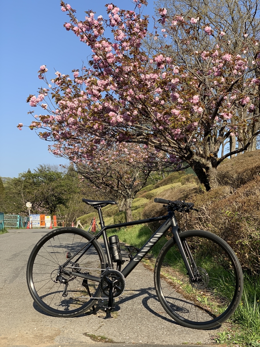 クロスバイクのサドル位置を下げてみた 自転車好きのこそっとした話な