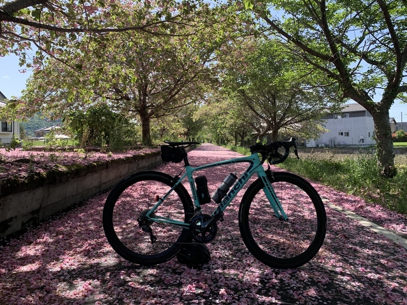 2022 GW 200km チャレンジライド ちりんりんロード サクラの花びら絨毯