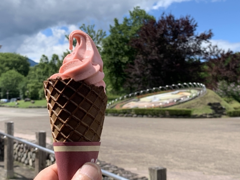 日光だいや川公園のだいや亭でスカイベリーのソフトクリーム