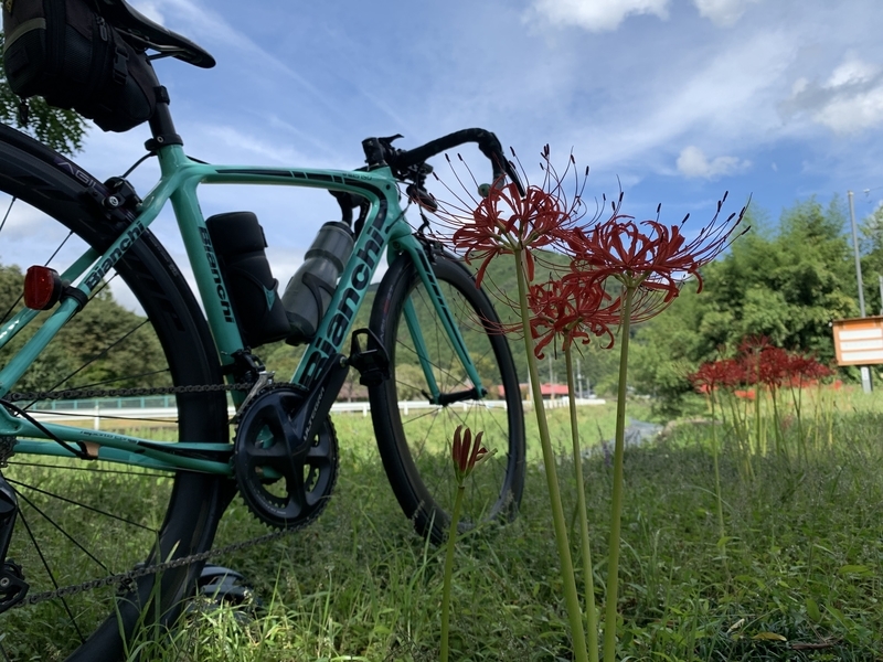 大芦川から粟野川、そして思川で繋がる前日光サイクリング