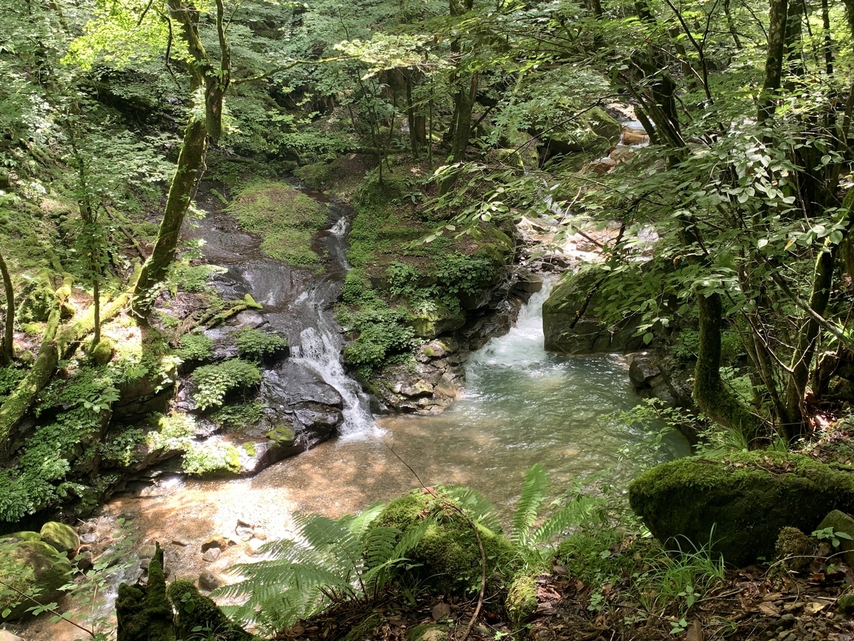 初心者でも簡単に行ける秘境の滝【素連の滝】