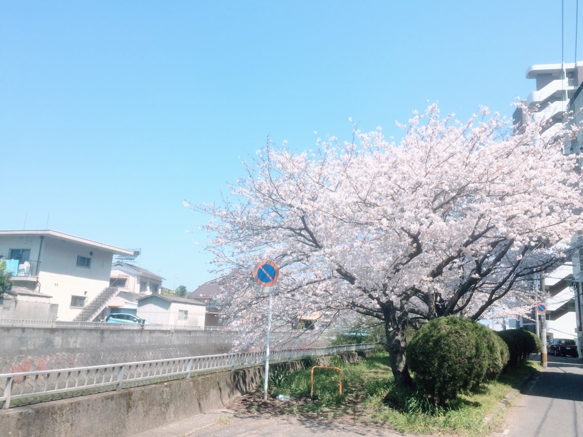 f:id:deokisikun:20200404130012p:plain
