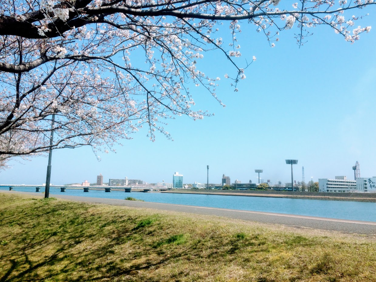 f:id:deokisikun:20200404130059p:plain