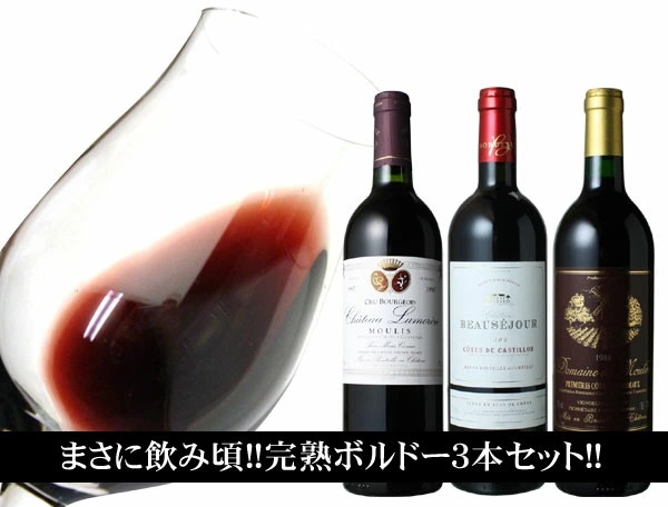 f:id:deokureojisan:20201122174753j:plain