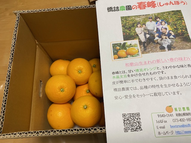 f:id:deokureojisan:20210310223453j:plain