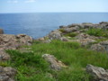 20090716123442