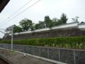 20090721082305