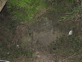 20101002154239
