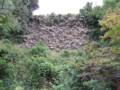 20101002154242