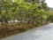 20120602のイベント。scrap。妖怪電車からの脱出。嵐山の天龍寺。