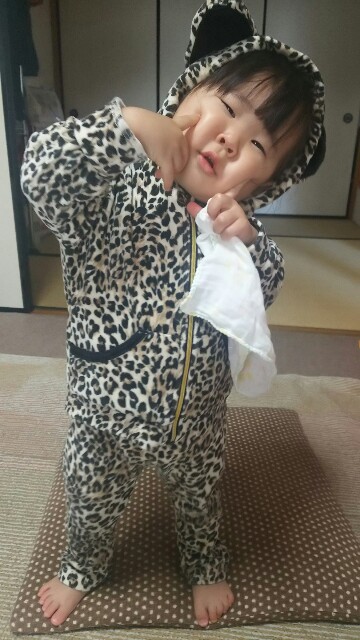 f:id:dera_noki:20161109213552j:image