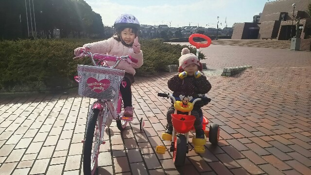 f:id:dera_noki:20170105232714j:image f:id:dera_noki:20170105232714j:image