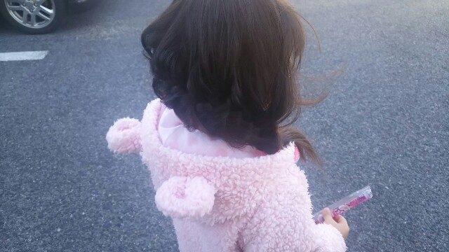 f:id:dera_noki:20170125224551j:image f:id:dera_noki:20170125224551j:image