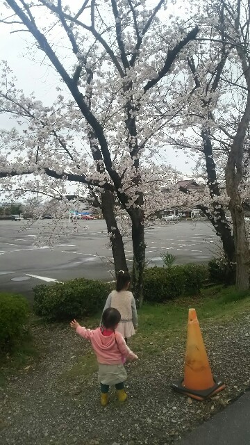 f:id:dera_noki:20170407234547j:image f:id:dera_noki:20170407234547j:image