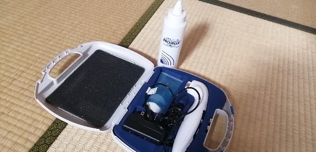 f:id:dera_noki:20210304230039j:image f:id:dera_noki:20210304230039j:image