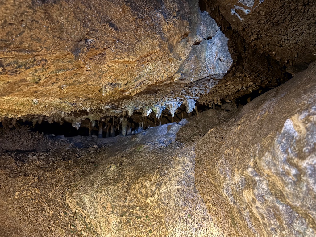 f:id:derbinglejp:20250906075451j:image f:id:derbinglejp:20250906075451j:image