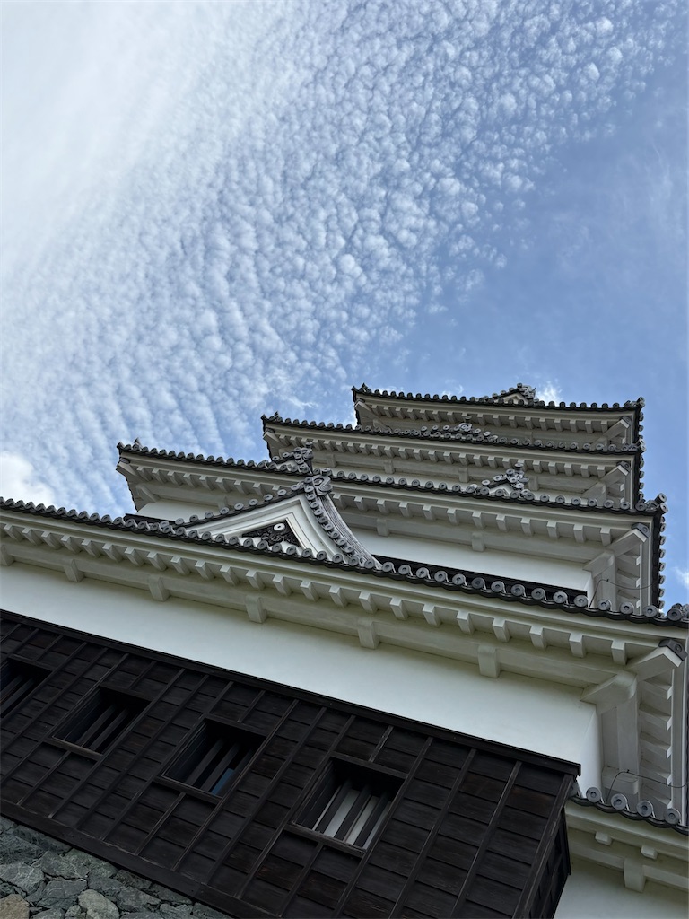 f:id:derbinglejp:20260517143903j:image