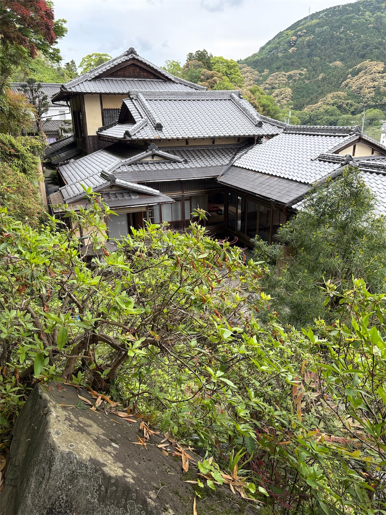 f:id:derbinglejp:20260517144013j:image