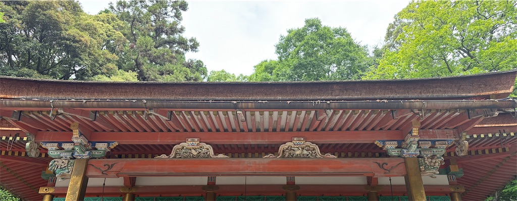 f:id:derbinglejp:20260531183421j:image