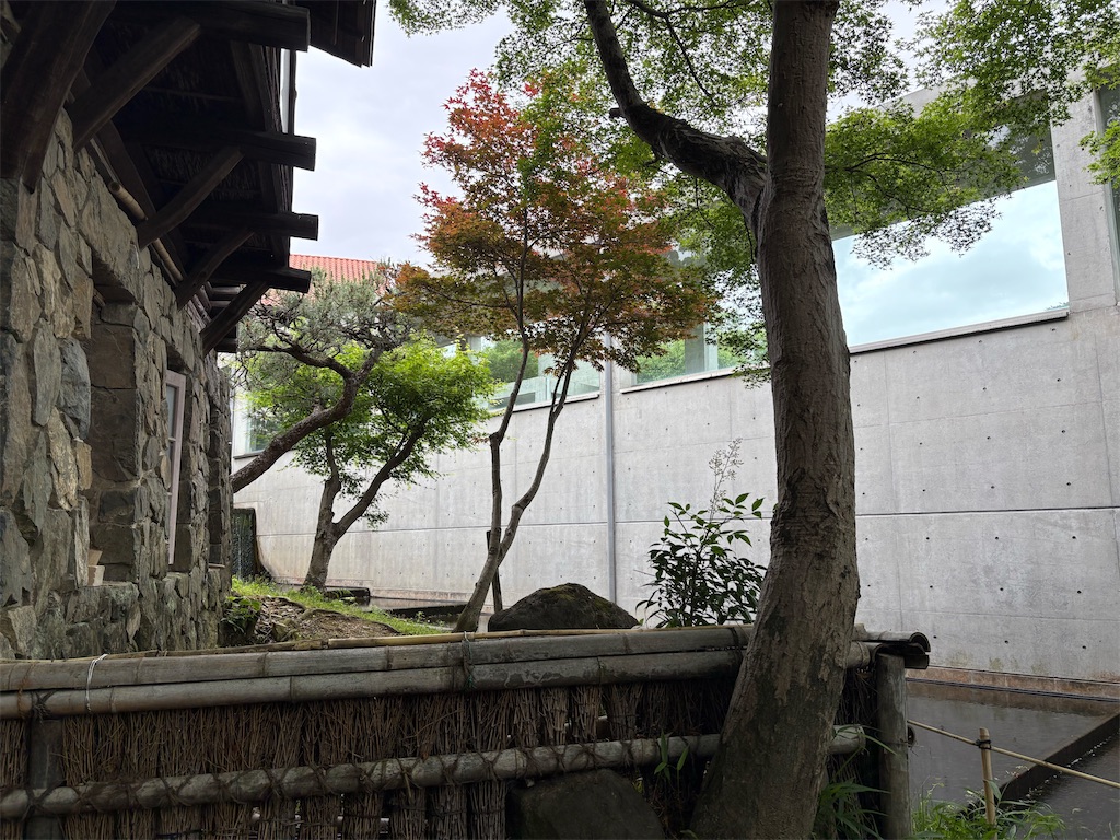 f:id:derbinglejp:20260531184146j:image