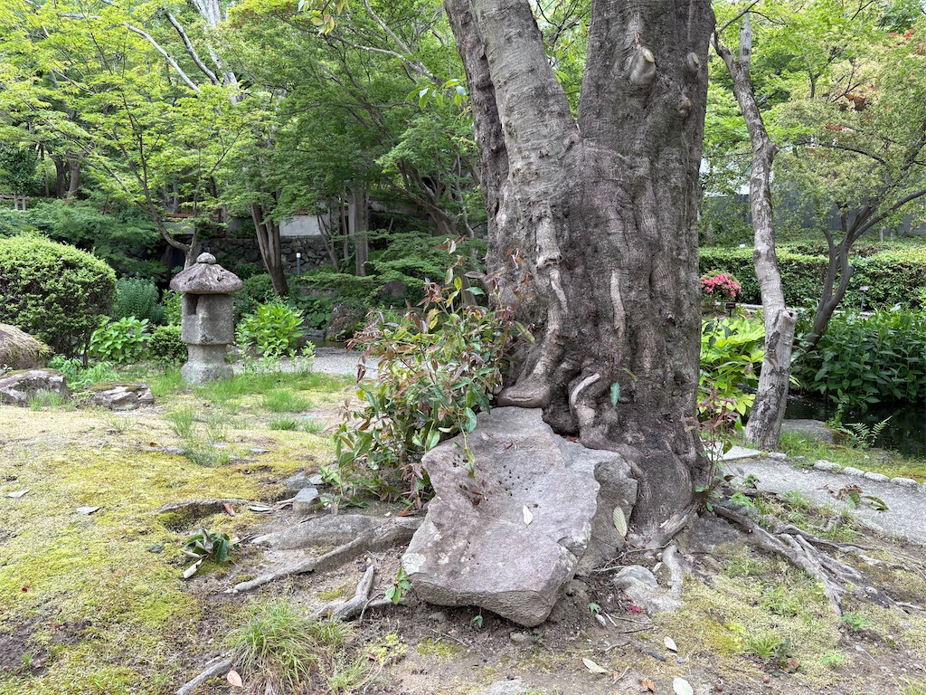 f:id:derbinglejp:20260531184152j:image