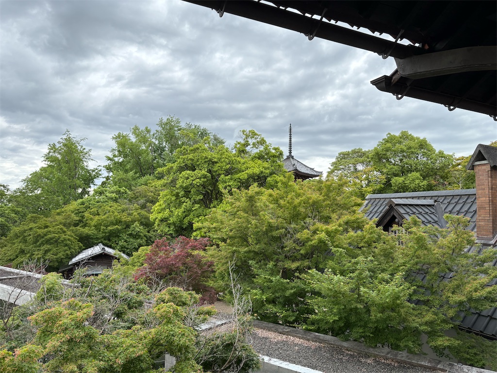 f:id:derbinglejp:20260531184236j:image