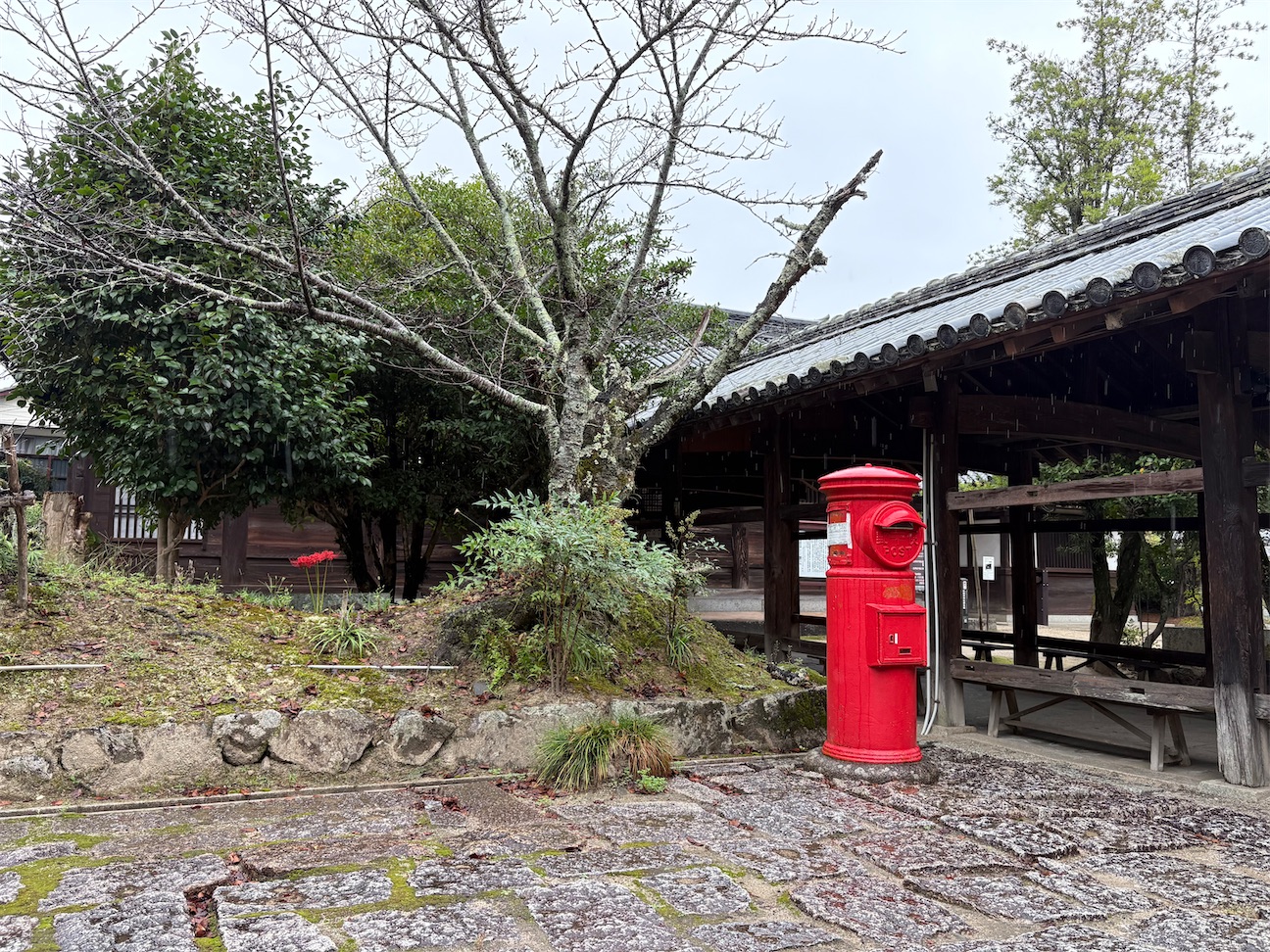 f:id:derbinglejp:20261004111553j:image