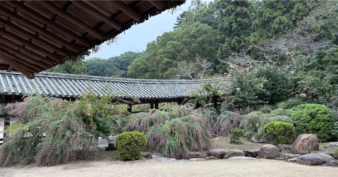f:id:derbinglejp:20261004111554j:image