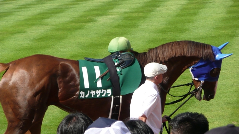 イメージ 1
