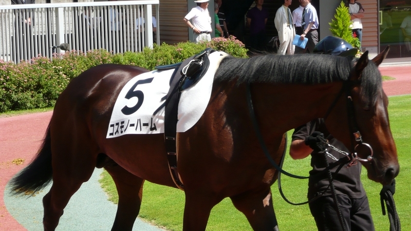 イメージ 9