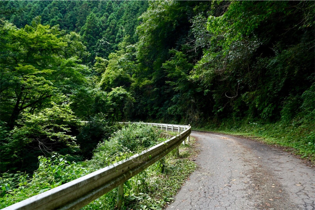 f:id:des_esseintes:20170722164301j:image f:id:des_esseintes:20170722164301j:image